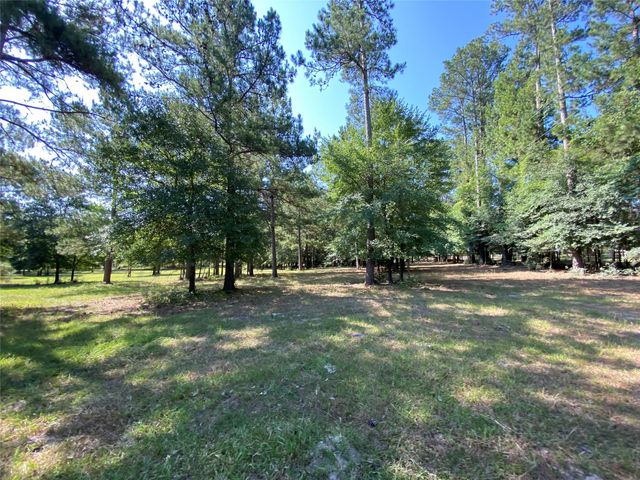 10642 County Road 446, Navasota, TX 77868