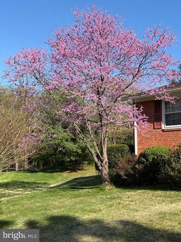 1421 MORNINGSIDE DR, Silver Spring, MD 20904