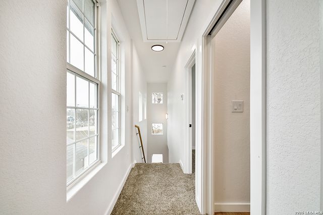 831 Montezuma, San Antonio, TX 78207