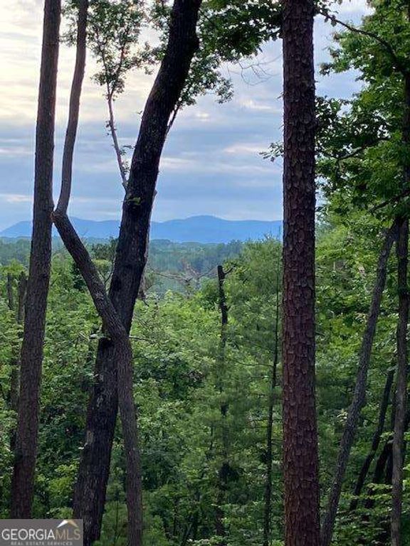 LOT 132 Red Oak Trail 132, Ellijay, GA 30540