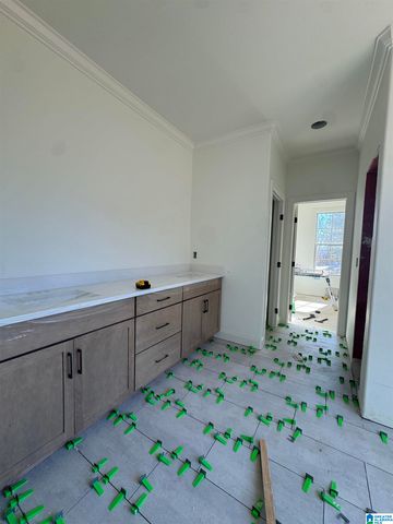 323 EMERALD LANE, Chelsea, AL 35043