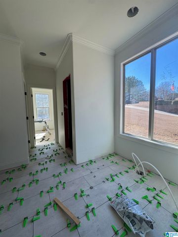 323 EMERALD LANE, Chelsea, AL 35043