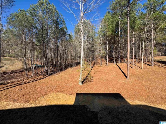 323 EMERALD LANE, Chelsea, AL 35043