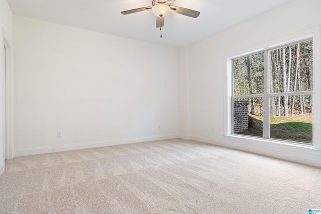 323 EMERALD LANE, Chelsea, AL 35043