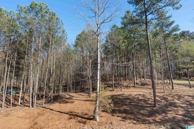 323 EMERALD LANE, Chelsea, AL 35043