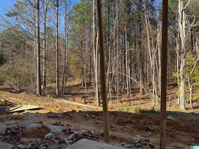 323 EMERALD LANE, Chelsea, AL 35043