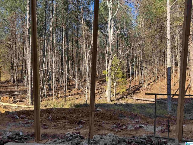 323 EMERALD LANE, Chelsea, AL 35043