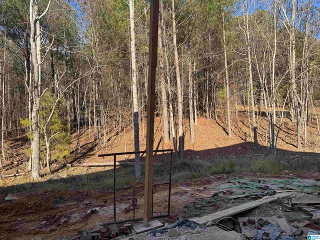 323 EMERALD LANE, Chelsea, AL 35043