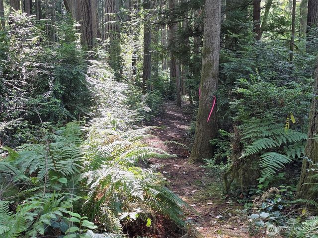 23601 Landers Road SW, Vashon, WA 98070
