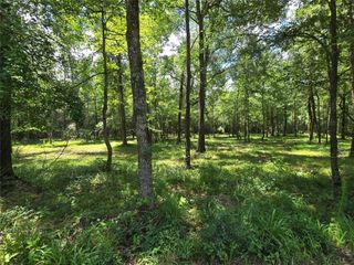 00 TBD Hwy 150 W, Coldspring, TX 77331