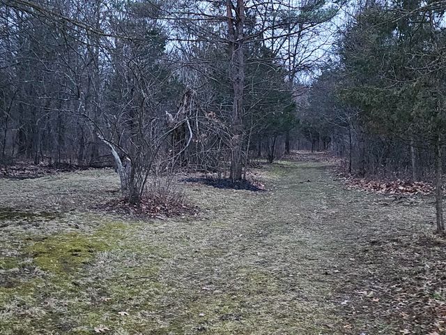 193 Ellis Road, Bedford Twp, MI 49037