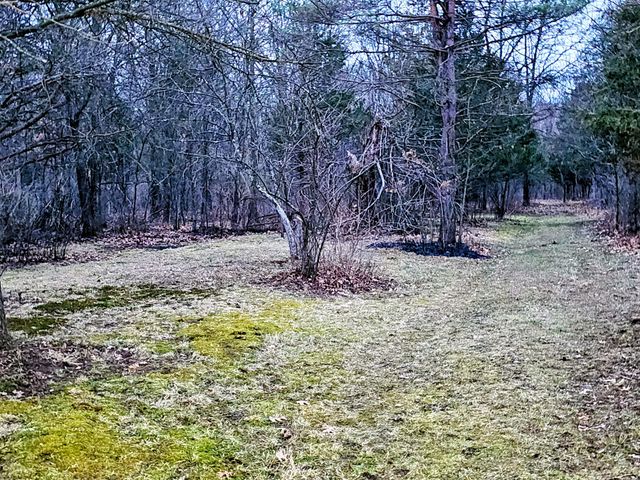 193 Ellis Road, Bedford Twp, MI 49037