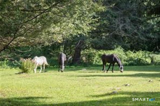 14 Apple Tree Lane, Woodbridge, CT 06525