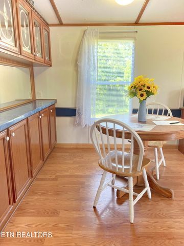 2078 Lone Mountain Rd, Tazewell, TN 37879