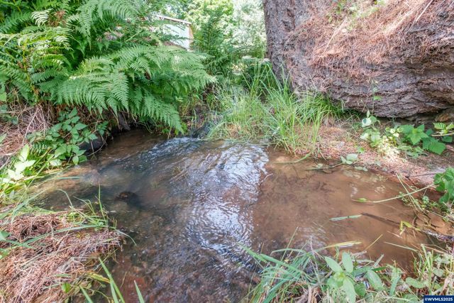 554 Mitchell St, Falls City, OR 97344