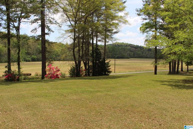 1115 CREEKSIDE CIRCLE, Talladega, AL 35160