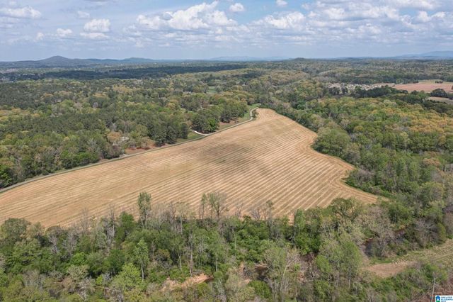 1115 CREEKSIDE CIRCLE, Talladega, AL 35160