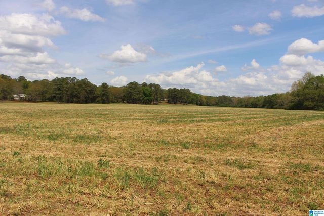 1115 CREEKSIDE CIRCLE, Talladega, AL 35160