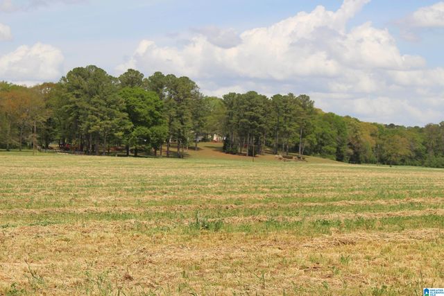 1115 CREEKSIDE CIRCLE, Talladega, AL 35160