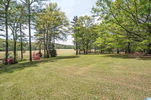 1115 CREEKSIDE CIRCLE, Talladega, AL 35160