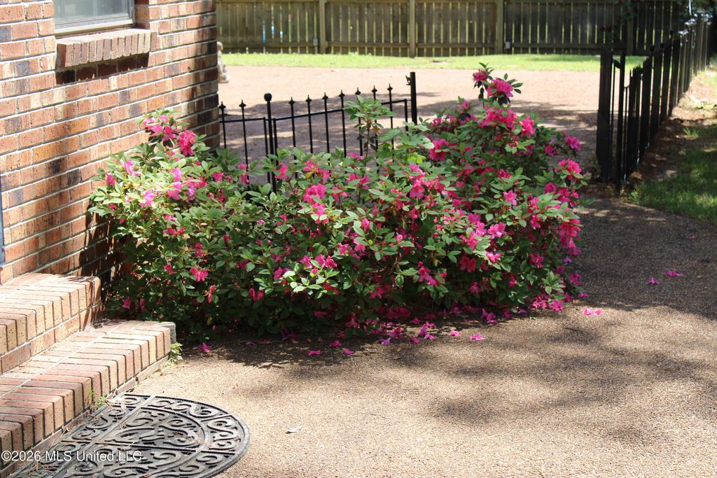 220 Flushing Cove, Hernando, MS 38632 — photo 4