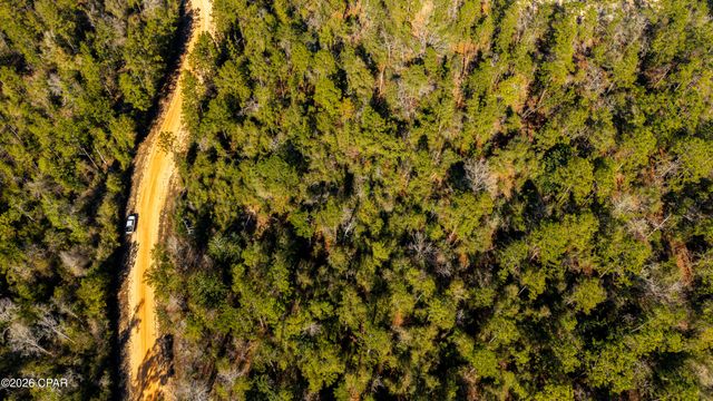 0 Rossville Avenue, Alford, FL 32420