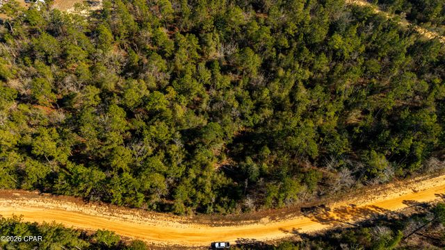 0 Rossville Avenue, Alford, FL 32420