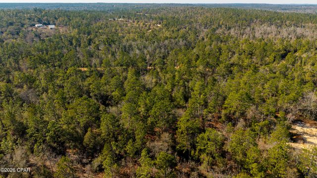 0 Rossville Avenue, Alford, FL 32420