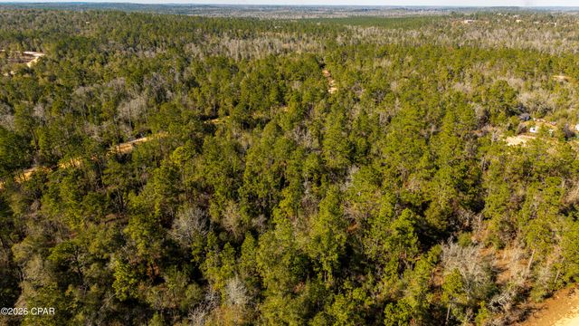 0 Rossville Avenue, Alford, FL 32420