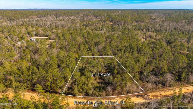 0 Rossville Avenue, Alford, FL 32420