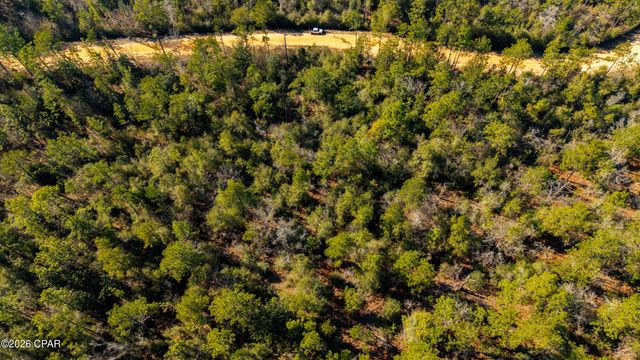 0 Rossville Avenue, Alford, FL 32420