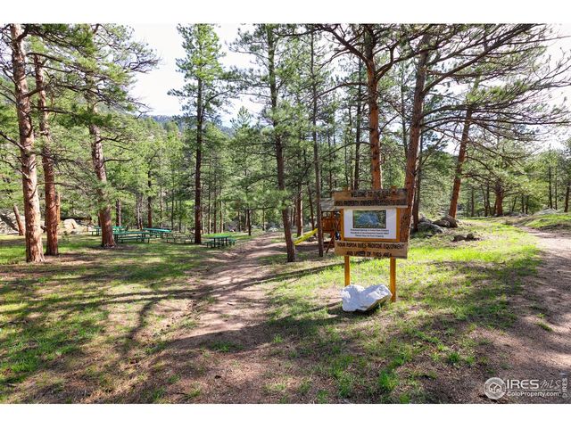 321 May Ave, Lyons, CO 80540