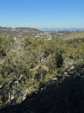 2758 Belmont Canyon Road, Belmont, CA 94002