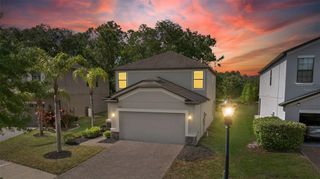 9908 SPICE BUSH COURT, Tampa, FL 33647