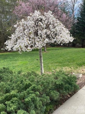 21 Kanuga Forest Drive, Hendersonville, NC 28739