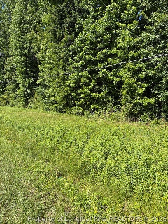 Lemon Springs Road, Sanford, NC 27332 — exterior