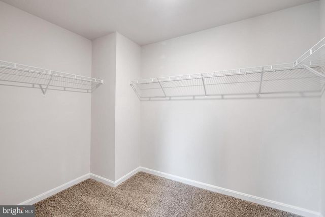 3739 SIERRA XING, King George, VA 22485