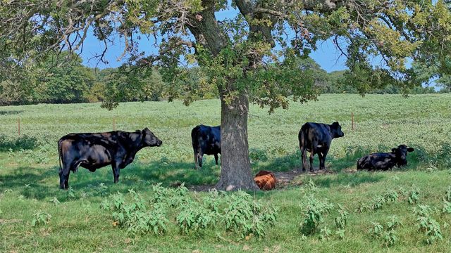 8752 Fm 1749, Sunset, TX 76270