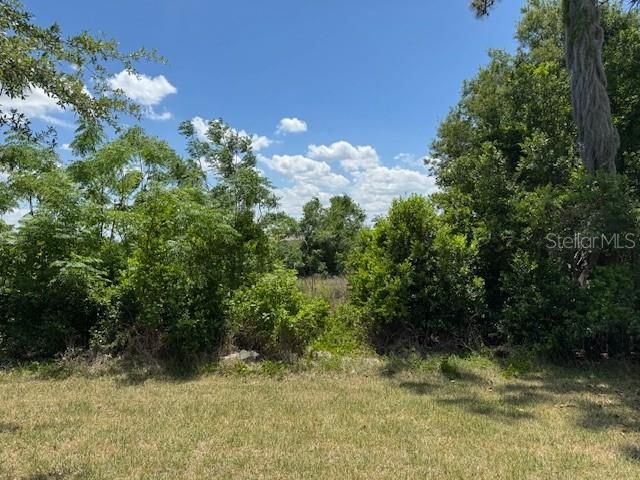 3200 WINGED FOOT ROAD, Mount Dora, FL 32757