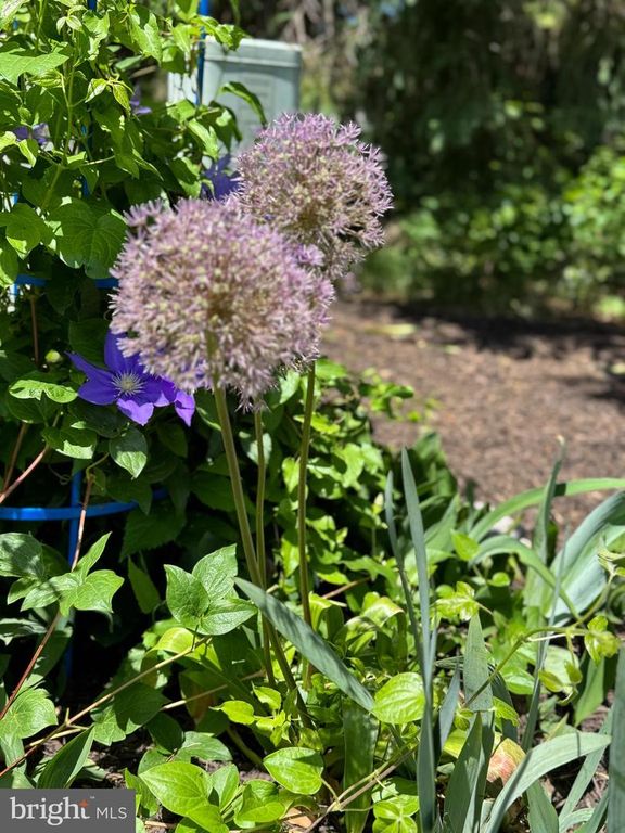 211 HERITAGE DRIVE, Shepherdstown, WV 25443