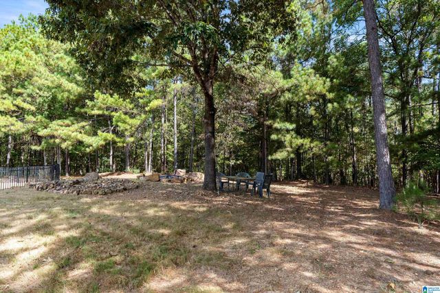 349 EMERALD LANE, Chelsea, AL 35043