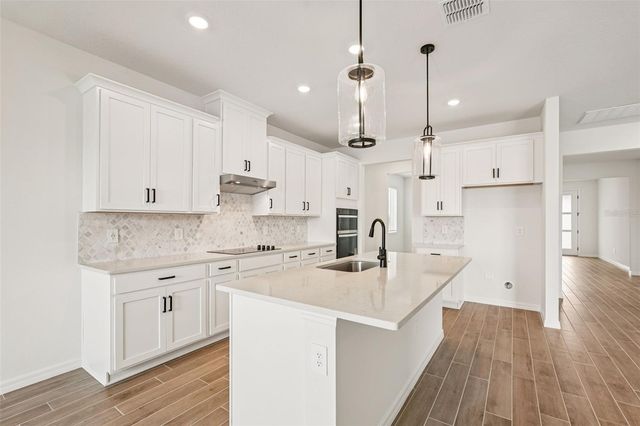 10546 ABUNDANCE GROVE WAY, Parrish, FL 34219