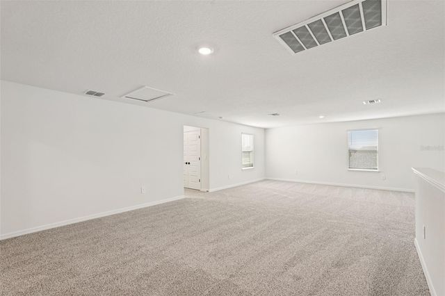 10546 ABUNDANCE GROVE WAY, Parrish, FL 34219