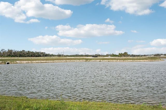 10546 ABUNDANCE GROVE WAY, Parrish, FL 34219