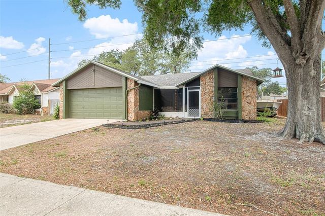 4105 SPRING WAY CIRCLE, Valrico, FL 33596