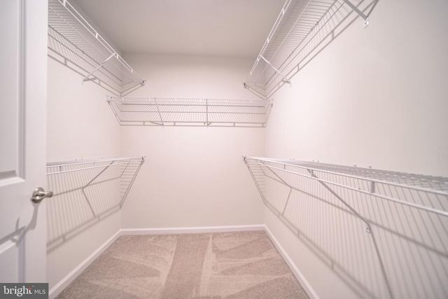 9816 CEDARMASS CIR, Fredericksburg, VA 22408