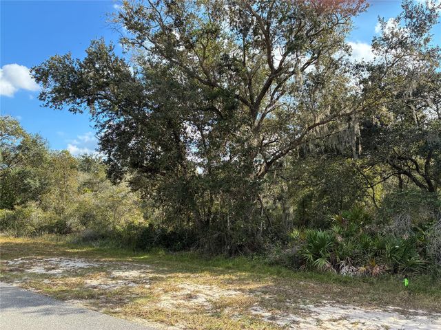 Lot 23 Blk 154 Plumosa Drive, Indian Lake Estates, FL 33855