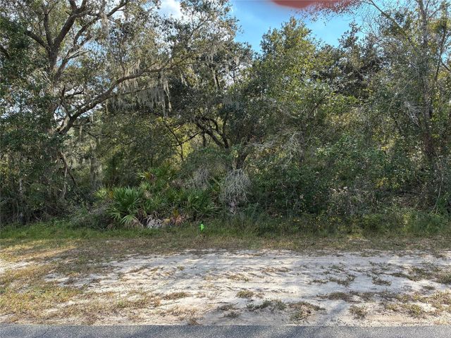 Lot 23 Blk 154 Plumosa Drive, Indian Lake Estates, FL 33855