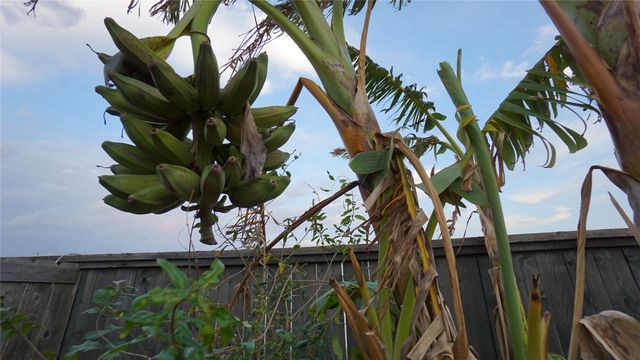 2626 Primrose Bloom Lane, Richmond, TX 77406