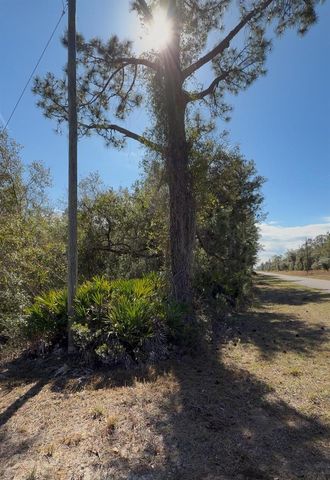 923 GAILLARDIA DRIVE, Indian Lake Estates, FL 33855